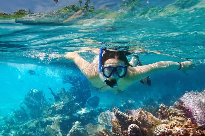 Private Gili Air Snorkel: 4 Top Spots, Turtles & Glass-Bottom Views photo 5