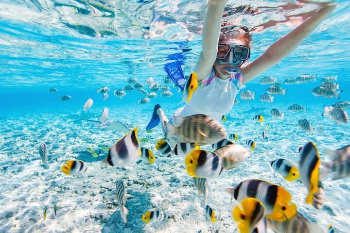 Private Gili Air Snorkel: 4 Top Spots, Turtles & Glass-Bottom Views photo 6