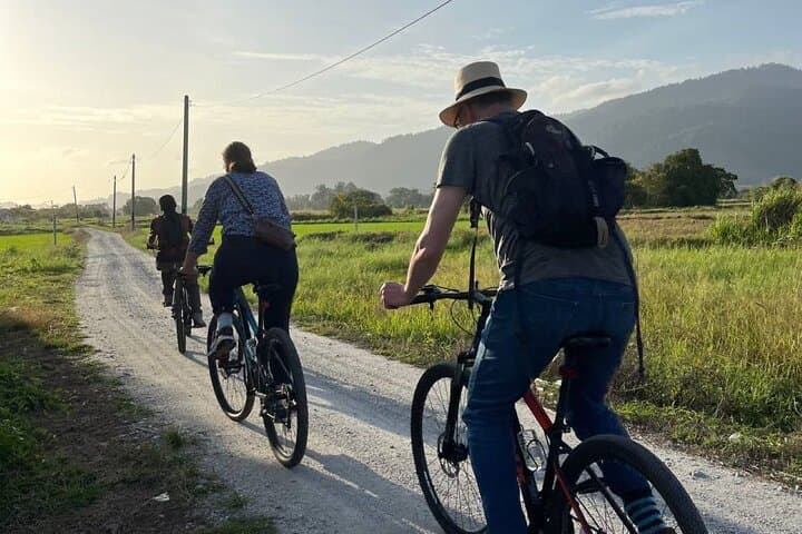 Countryside Biking Tour in Langkawi: Paddy Fields, Waterfalls & Local Flavors