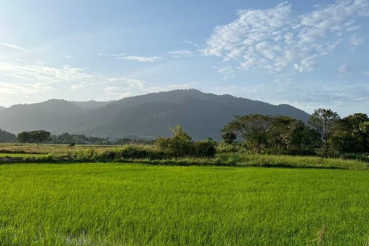 Countryside Biking Tour in Langkawi: Paddy Fields, Waterfalls & Local Flavors photo 2