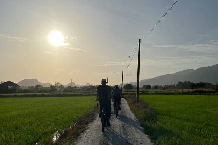 Countryside Biking Tour in Langkawi: Paddy Fields, Waterfalls & Local Flavors photo 5