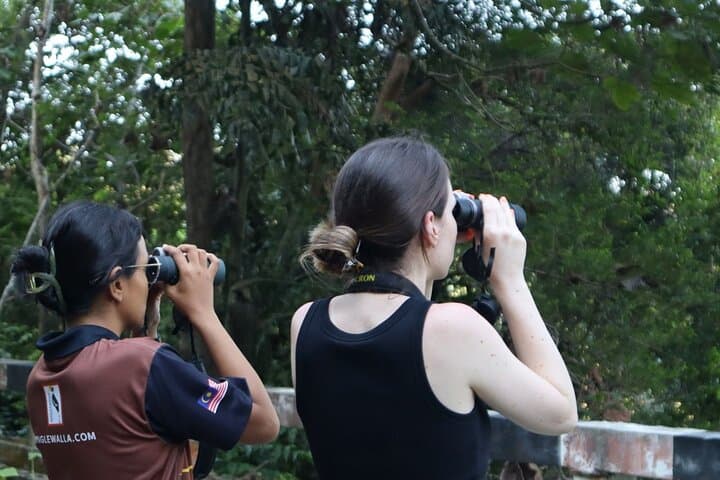 Langkawi Birdwatching: Afternoon Tour to Pond, Paddy Fields & Gunung Raya photo 6