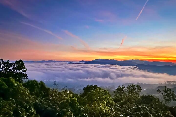 Da Lat Cloud Hunting Sunrise Tour: Cau Dat Tea Hills, Wind Turbines & Strawberry Farm photo 2