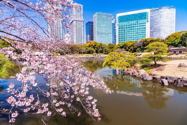 Hama-Rikyu Gardens Walking Tour — Matcha Tea & Edo‑Era Garden Experience in Tokyo