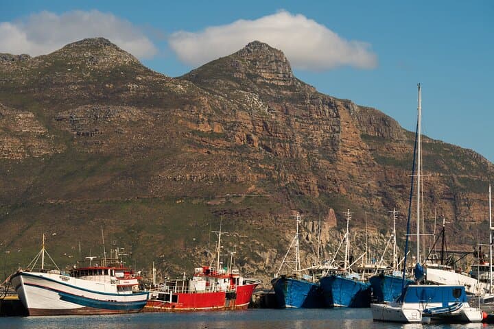 Best of the Cape Private Full-Day Tour — Table Mountain, Cape Point & Penguins photo 3