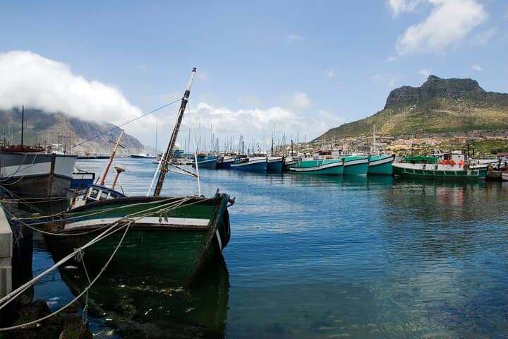 Best of the Cape Private Full-Day Tour — Table Mountain, Cape Point & Penguins photo 6