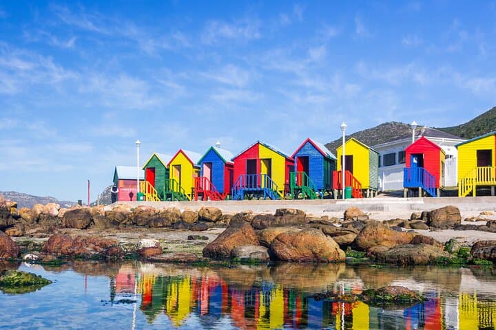 Best of the Cape Private Full-Day Tour — Table Mountain, Cape Point & Penguins