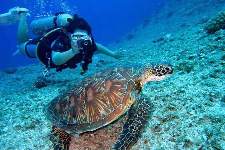 Discover Scuba Diving at Kite Beach, Dubai — 3-Hour Beginner Dive