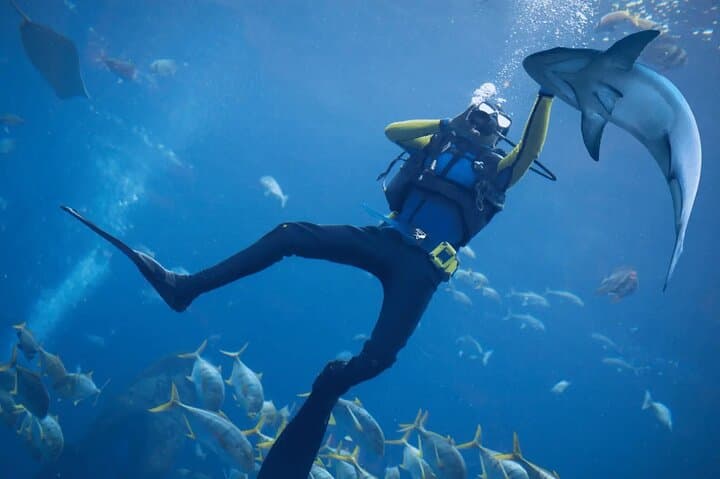 Discover Scuba Diving at Kite Beach, Dubai — 3-Hour Beginner Dive photo 3