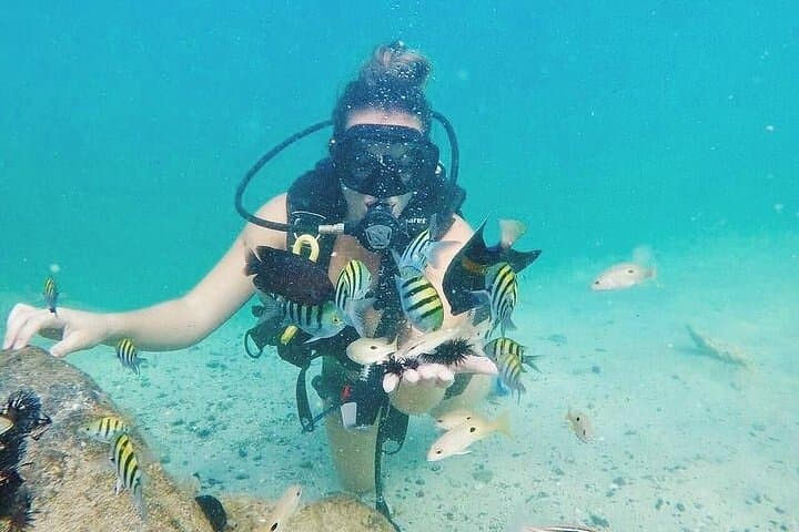 Discover Scuba Diving at Kite Beach, Dubai — 3-Hour Beginner Dive photo 5