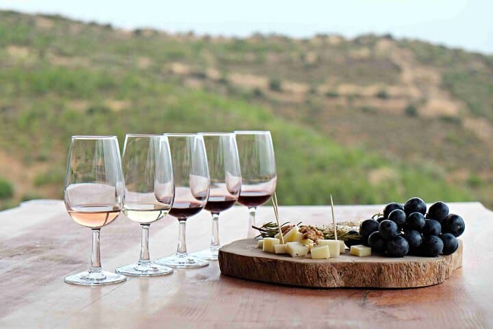 Full-Day Private Wine Tour: Stellenbosch & Franschhoek Wine Country from Cape Town