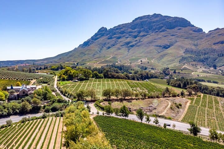 Full-Day Private Wine Tour: Stellenbosch & Franschhoek Wine Country from Cape Town photo 3