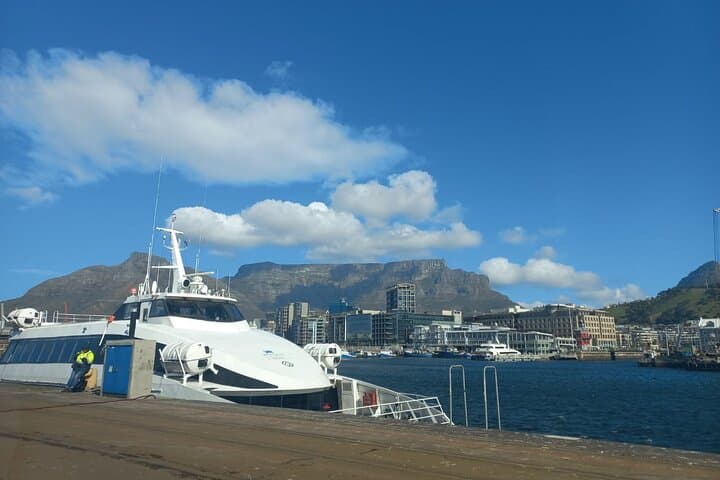 Cape Town in 3 Days: Guided Tour to Table Mountain, Cape Point & Winelands photo 3