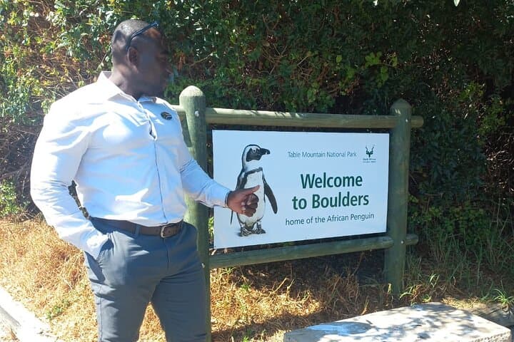 Boulders Beach Penguins and Table Mountain Half-Day Tour: Cape Town Wildlife & Views photo 5