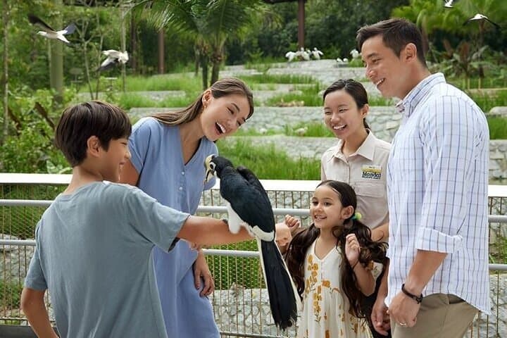Singapore Bird Paradise Visitor Guide: Tickets, Shows & Tips photo 2