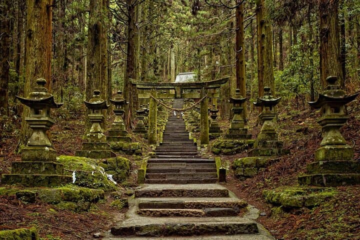 Takachiho Gorge Day Tour: Kamishikimi Shrine, Amano Iwato & Boat Ride photo 4