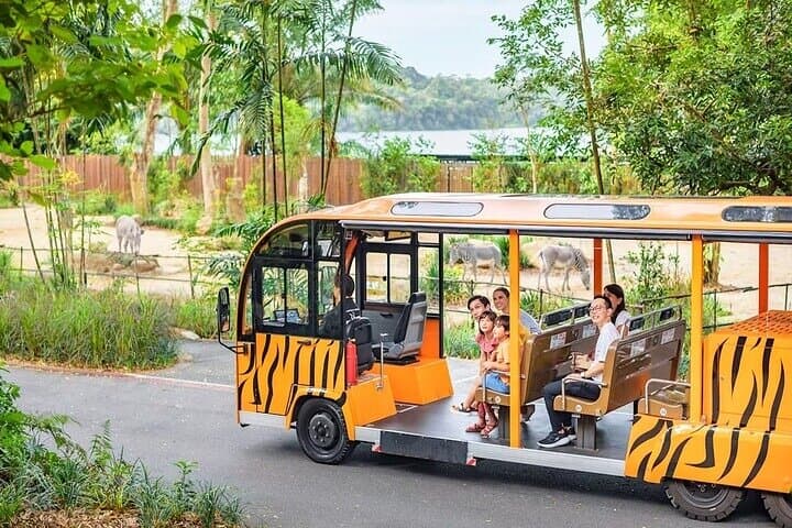 Exploring Singapore Zoo: Tickets, Tram Ride & Up-Close Wildlife Encounters photo 2