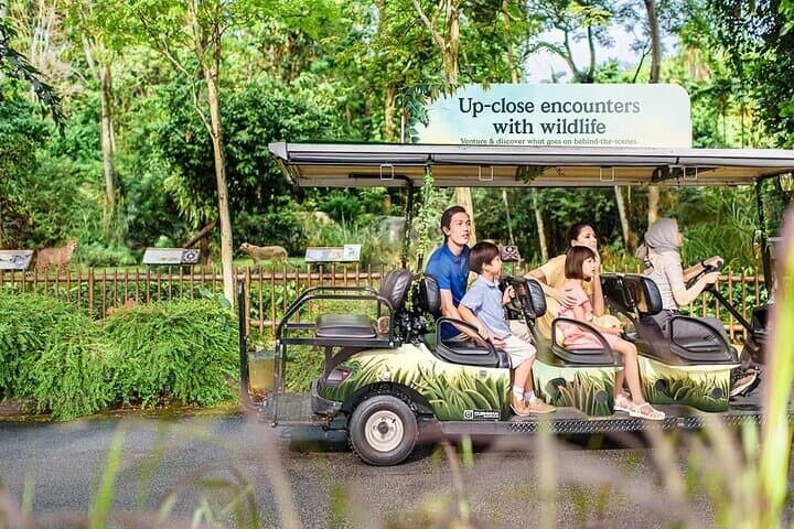 Exploring Singapore Zoo: Tickets, Tram Ride & Up-Close Wildlife Encounters photo 5