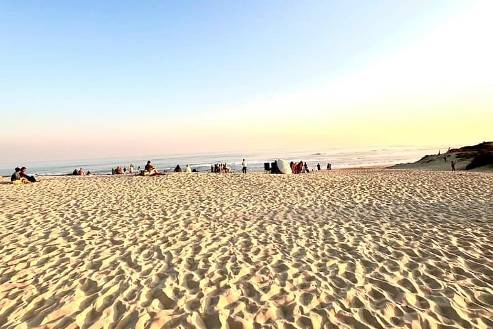 Kragga Kamma Game Drive and Port Elizabeth Coastal Scenic Tour photo 4