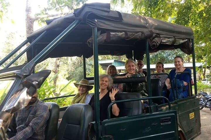 Bandipur Safari and Mysore Palace: 2-Day Wildlife and Royal Heritage Escape photo 2