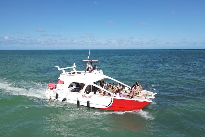 Experience the Ultimate Party Boat Adventure in Punta Cana photo 3