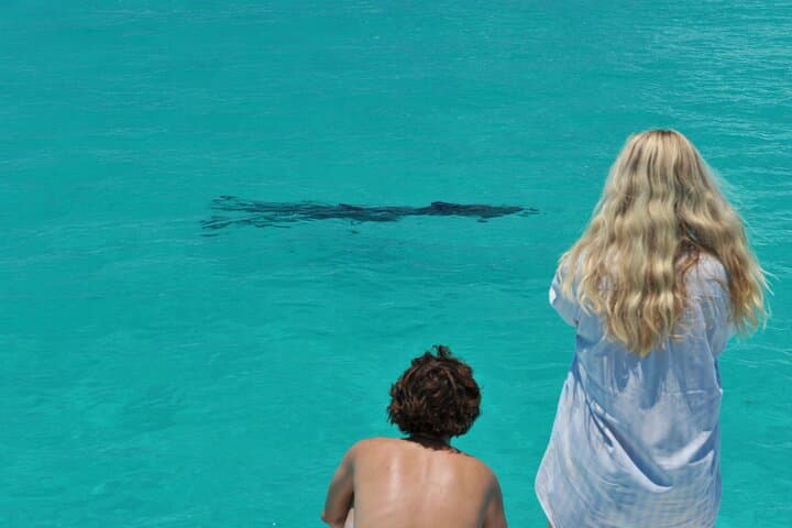 Key West Dolphin Watch and Snorkel Tour — Dolphin SMART Eco Adventure photo 5