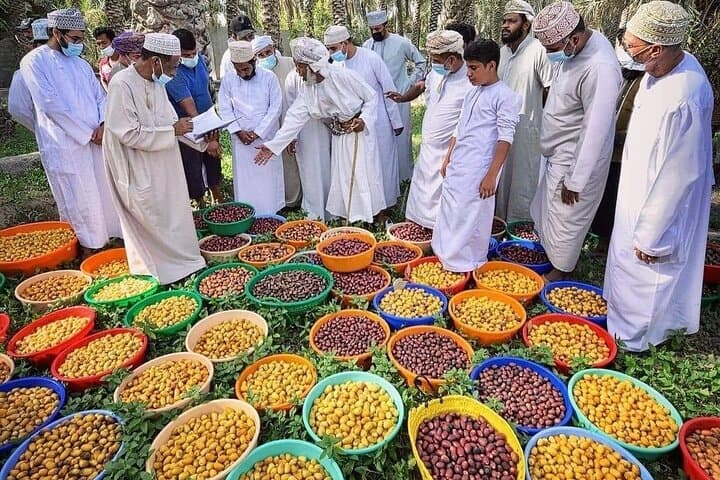 Nizwa Friday Cattle Market and Jebel Akhdar Full-Day Tour from Muscat