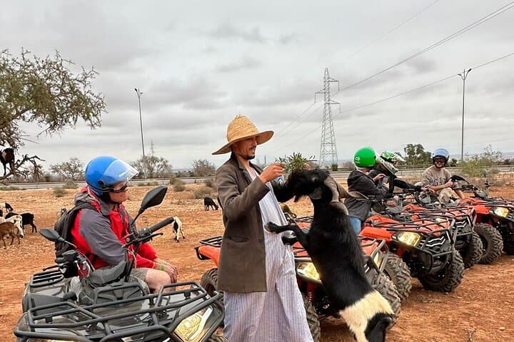 Agadir Quad Bike Safari: Agafay ATV Ride, Argan Goats & Crocoparc Combo photo 2
