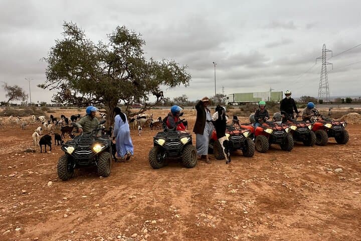 Agadir Quad Adventure: Goats in Argan Trees, Agafay Ride & Souk El Had photo 4