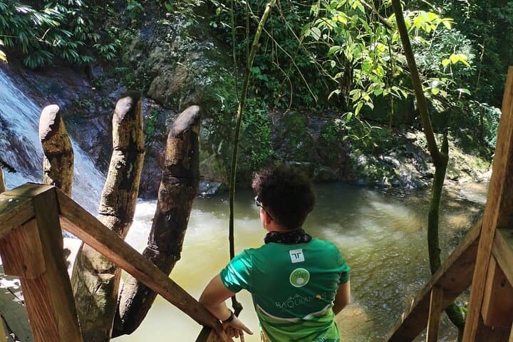 Minca Coffee, Cocoa & Waterfalls: Full-Day Hike in the Sierra Nevada