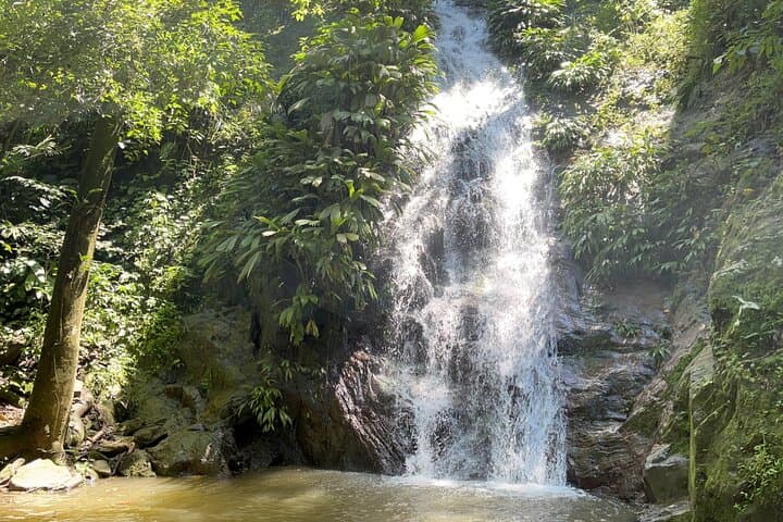 Minca Coffee, Cocoa & Waterfalls: Full-Day Hike in the Sierra Nevada photo 4