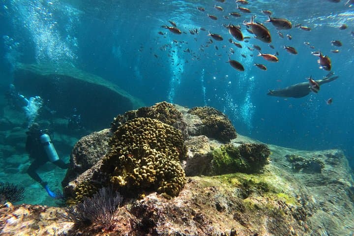 Private Isla Espíritu Santo Boat Tour — Swim with Sea Lions from La Paz photo 1
