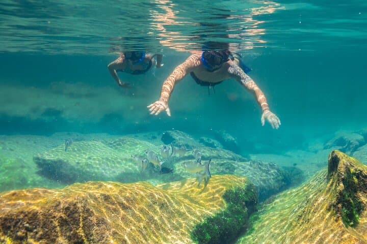 Explore Mayan Cenotes and Snorkel Yal-Ku's Paradise Lagoon photo 6