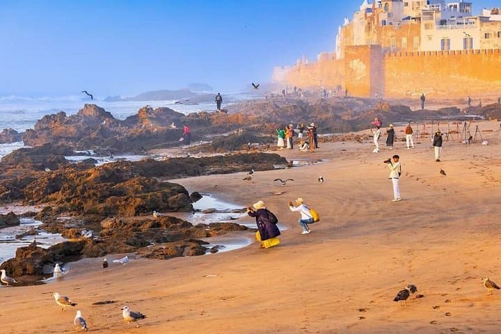Essaouira Day Trip from Marrakech: Private Full-Day Coastal & Medina Tour