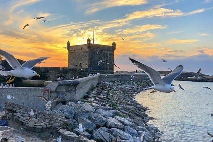 Essaouira Mogador Day Trip from Marrakech — Coastal Sights, Argan Co‑ops & Seafood photo 1