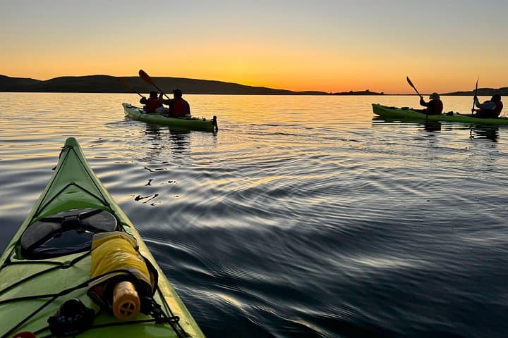 Explore Point Reyes by Sea Kayak: Tomales Bay Wildlife & Hog Island Paddle photo 2