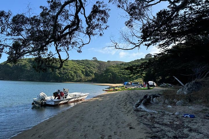 Explore Point Reyes by Sea Kayak: Tomales Bay Wildlife & Hog Island Paddle photo 3