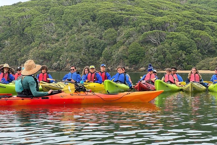 Explore Point Reyes by Sea Kayak: Tomales Bay Wildlife & Hog Island Paddle photo 4