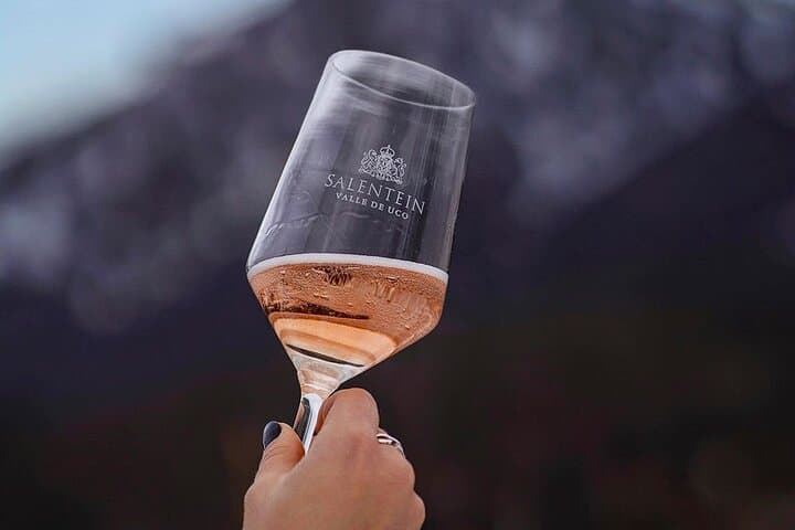 Mendoza Essentials: 5-Day Wine, Hot Springs & Uco Valley Adventure photo 6