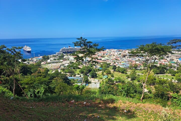 Roseau Rainforest & Trafalgar Falls Tour — Dominica Day Trip from Roseau