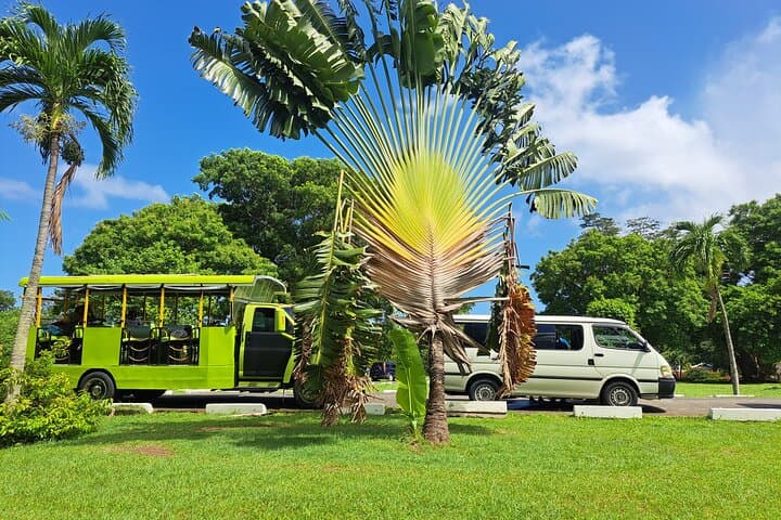 Roseau Rainforest & Trafalgar Falls Tour — Dominica Day Trip from Roseau photo 2