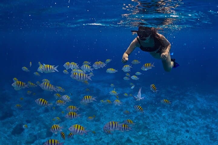 Luxury Cozumel Catamaran: Sailing, Snorkeling & Open-Bar Lunch photo 3