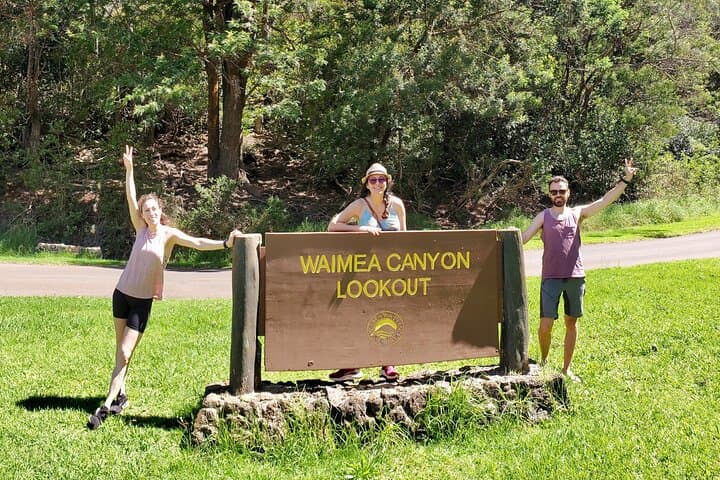Waimea Canyon Private Day Tour from Princeville: Luxury SUV Journey Across Kauai photo 2
