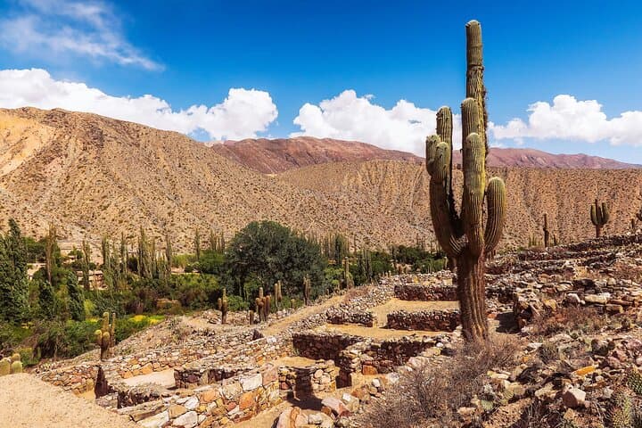4-Day North Argentina Tour: Cafayate, Cachi, Salinas Grandes & Hornocal photo 5