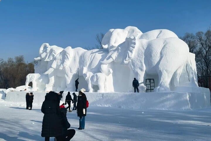 Harbin Sun Island Snow Fair — Tickets & One-Way Transfer Guide photo 5