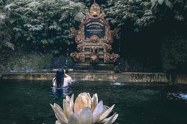 Melukat Purification, Kehen Temple & Goa Raja Waterfall: Spiritual Day Tour from Ubud photo 4