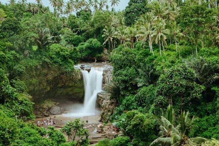 Ubud Private Day Tour: Waterfalls, Sacred Monkeys and Tegalalang Rice Fields photo 5