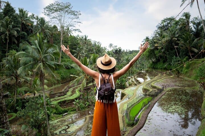 Ubud Private Day Tour: Waterfalls, Sacred Monkeys and Tegalalang Rice Fields