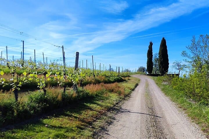 Way of the Goblets: Gattinara Hike & Cycle Through Piedmont’s Nebbiolo Hills photo 2