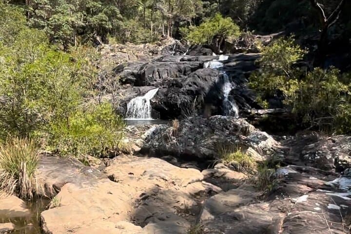Booloumba Falls & Booloumba Creek 4x4 Adventure in Conondale National Park photo 6